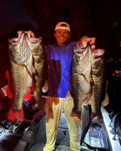 Bass screaming in the swamp!